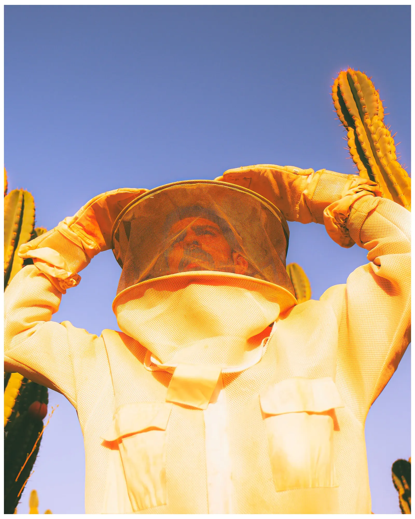 זְמירי / צא מזה השקת האלבום