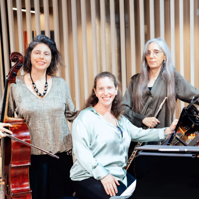 Trio Noga: The Seasons