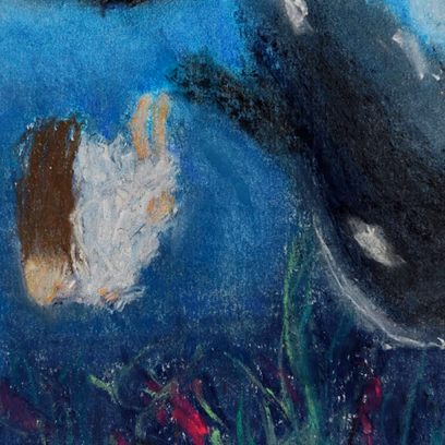 אשתי vol. 1 release show