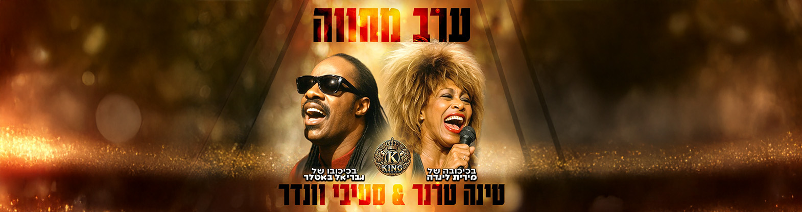 המחווה לסטיבי וונדר וטינה טרנר