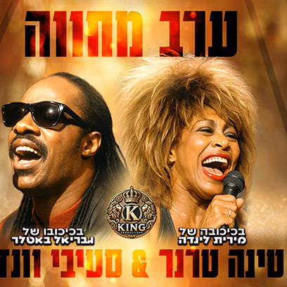 המחווה לסטיבי וונדר וטינה טרנר