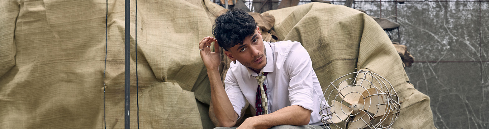 תמיר לוי – מופע להקה