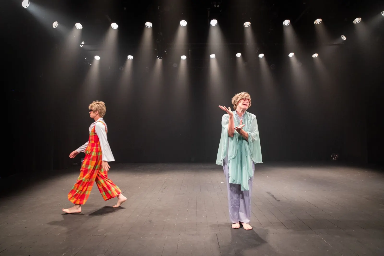 הגבירה מאבו דיס