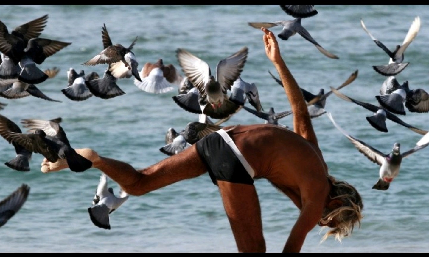 ערב ספרות – אומנות מנחמת בצל מלחמה