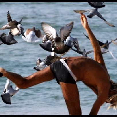 ערב ספרות – אומנות מנחמת בצל מלחמה