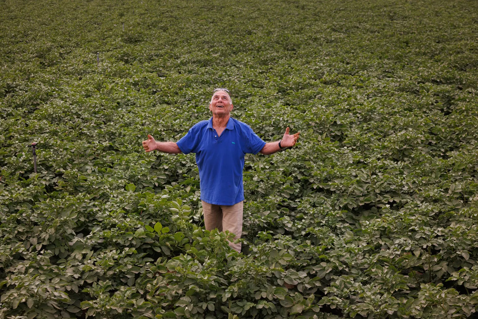 Local Testimony 2025