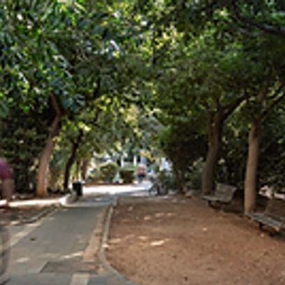 Urban tour: among gardens and alleys