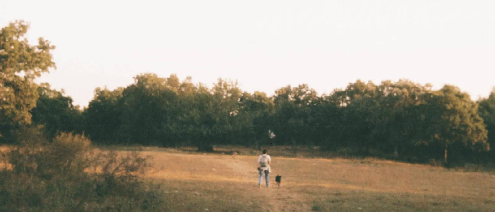 שי-לי פלדי / מופע השקת אלבום / נפתחה הדלת