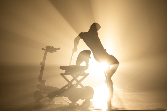 Go Figure | שרון פרידמן