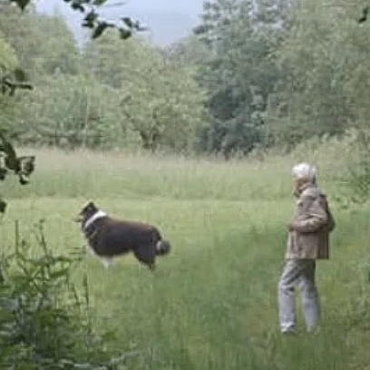 קולנוע מספר שואה